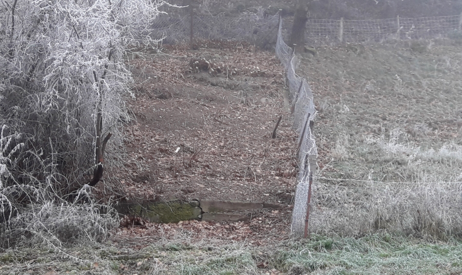 Wege