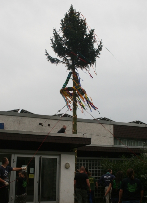 Kerwebaum