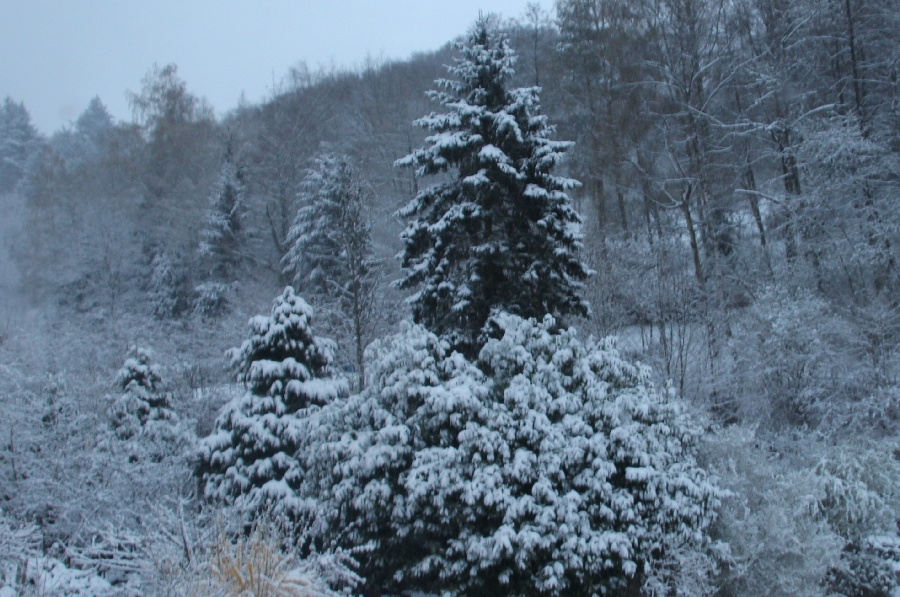 Schnee