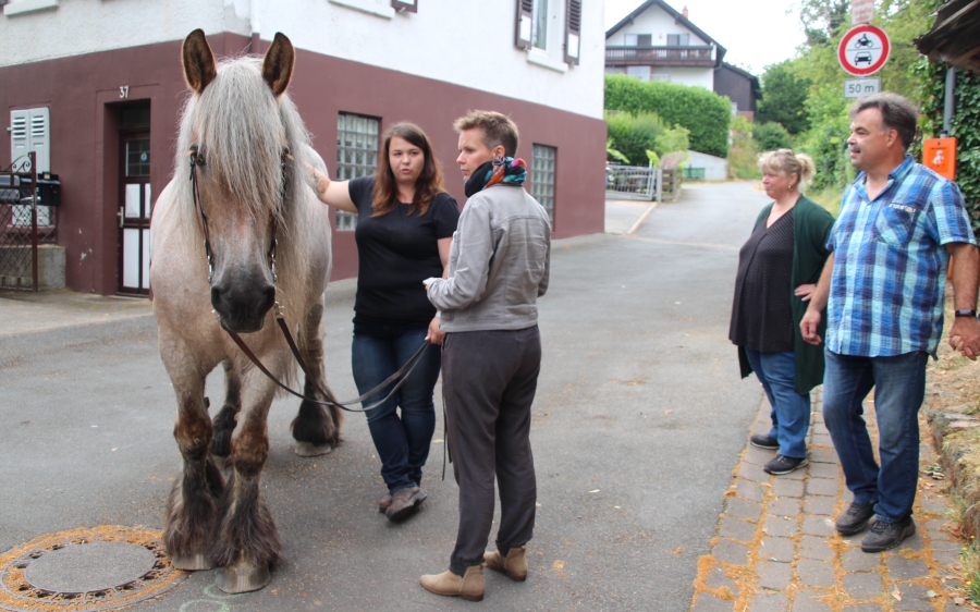 Dolles Dorf