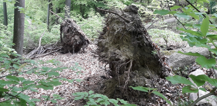 Bilder-04-24