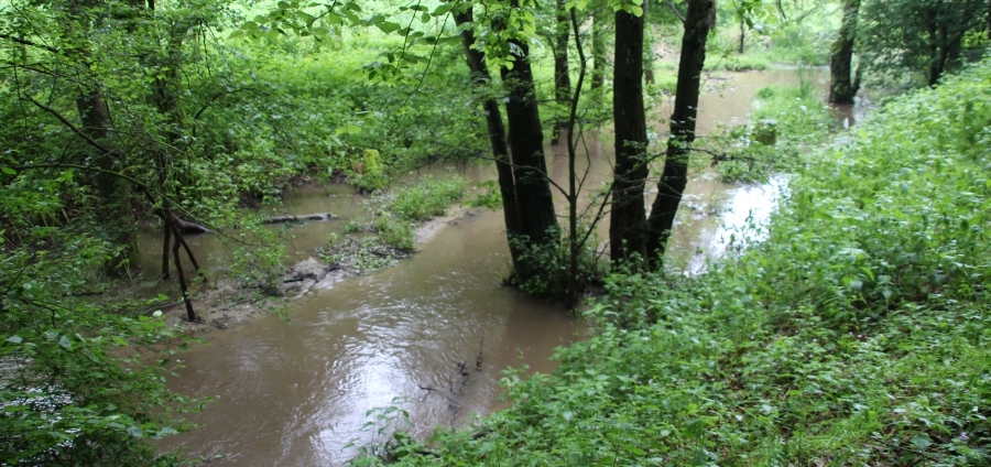 Bilder-05-24
