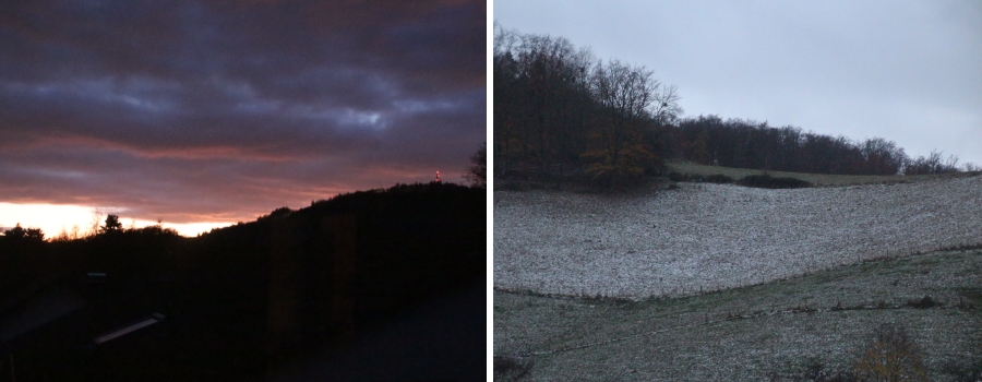 Bilder-11-24