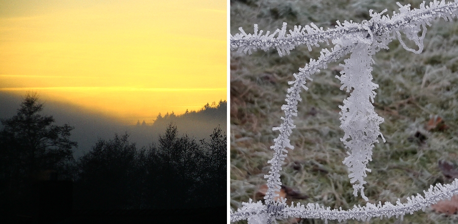 Bilder-12-24