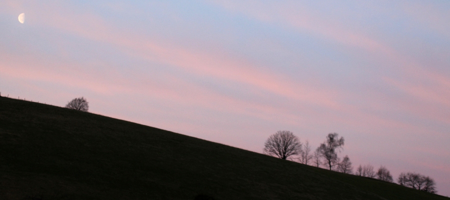 Bilder-03-24