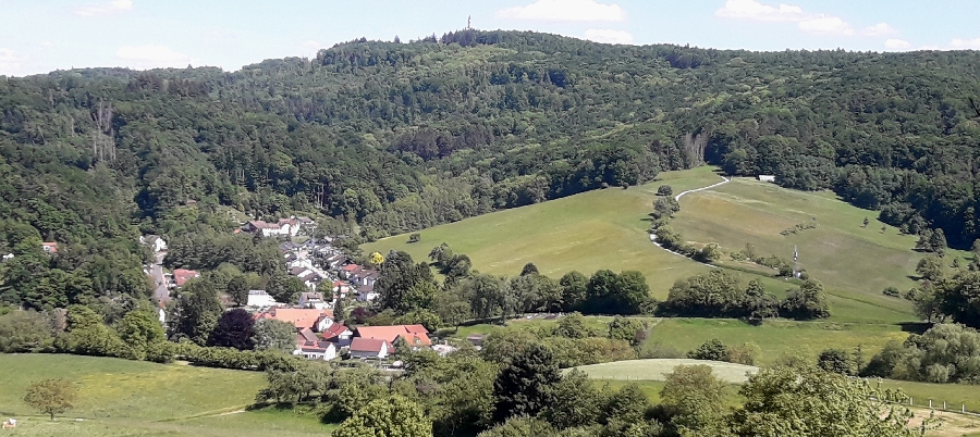 Bilder-05-24
