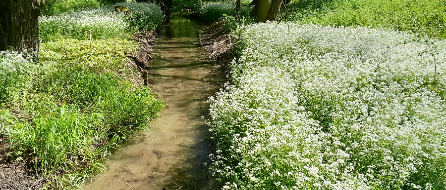 Bilder-04-26